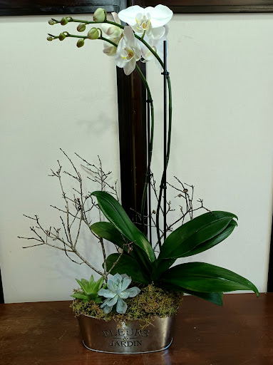 Florist «Carlson Wildwood Florist», reviews and photos, 1488 Clearwater Largo Rd N, Largo, FL 33770, USA