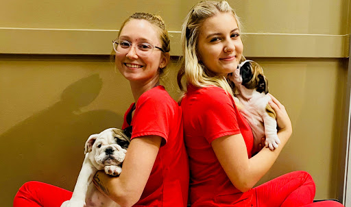 Pet Store «Puppies N Love», reviews and photos, 7700 W Arrowhead Towne Center, Glendale, AZ 85308, USA