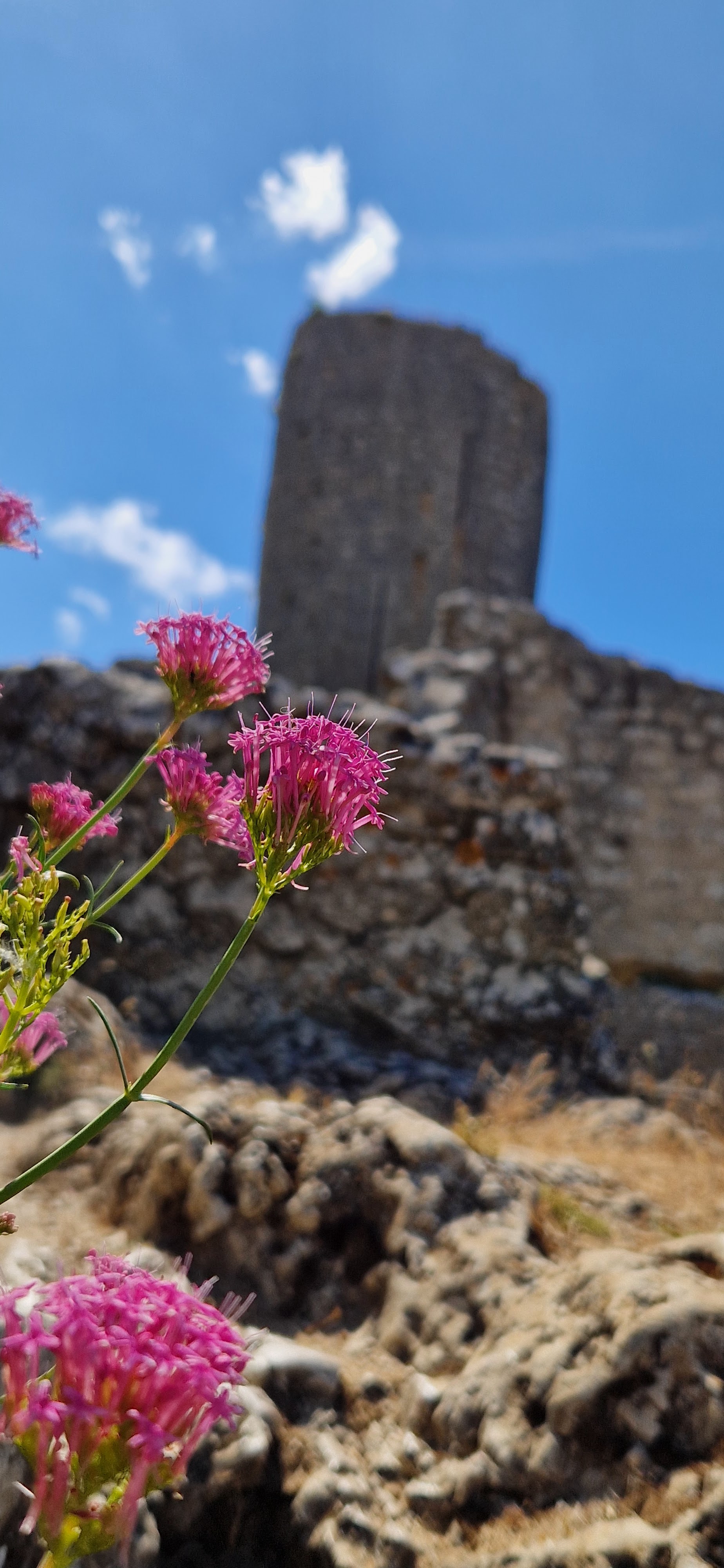 Photo n° 2 de l'avis de Renaud.c fait le 25/07/2023 à 20:33