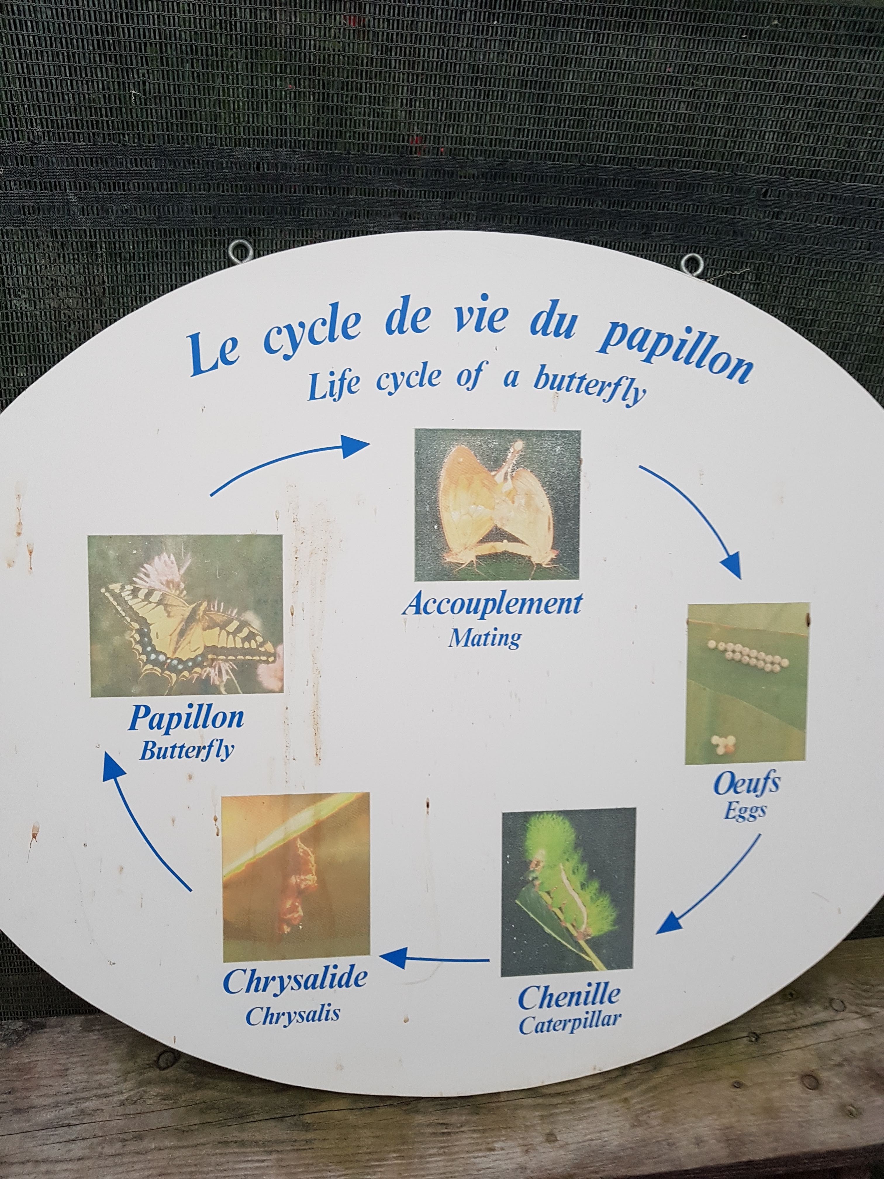 Photo n° 7 de l'avis de Michelle.o fait le 24/08/2018 à 20:01