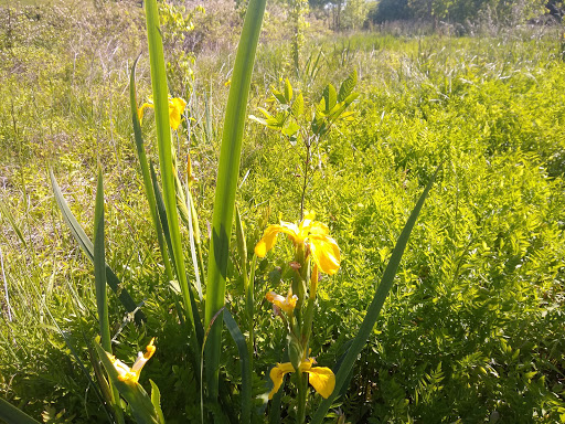 Park «Owl Creek Park», reviews and photos, 9751 Concord Rd, Brentwood, TN 37027, USA