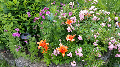 Towing Service «Abel Towing Wrecker & Auto Service», reviews and photos, 1717 Belvidere St, Waukegan, IL 60085, USA