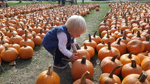 Produce Market «Didier Farms», reviews and photos, 16678 Aptakisic Rd, Lincolnshire, IL 60069, USA