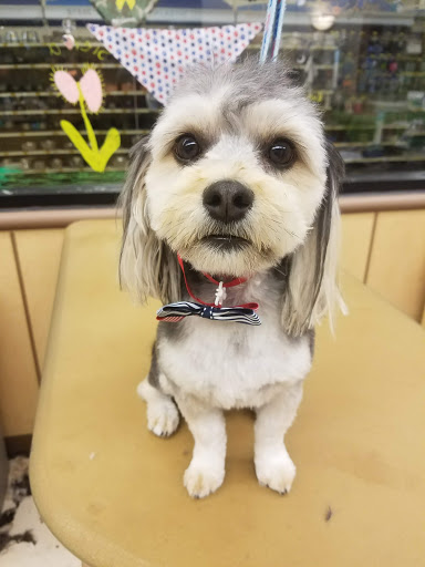 Pet Supply Store «PetSmart», reviews and photos, 1300 John F Kennedy Rd, Dubuque, IA 52002, USA