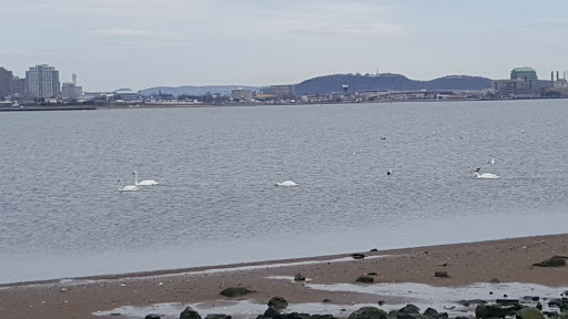 Nature Preserve «Sandy Point Bird Sanctuary», reviews and photos, Beach St, West Haven, CT 06516, USA
