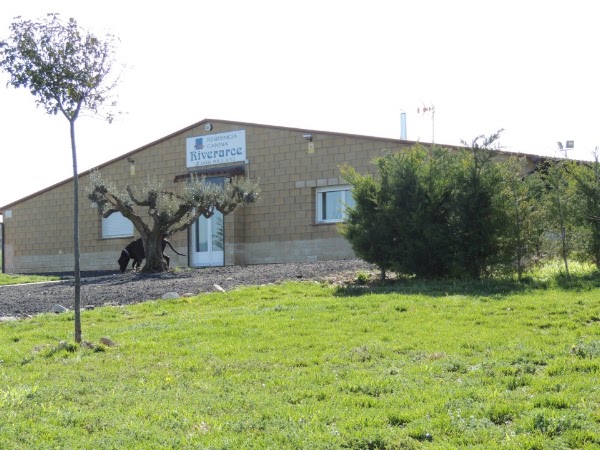 Residencia Canina Riverarce