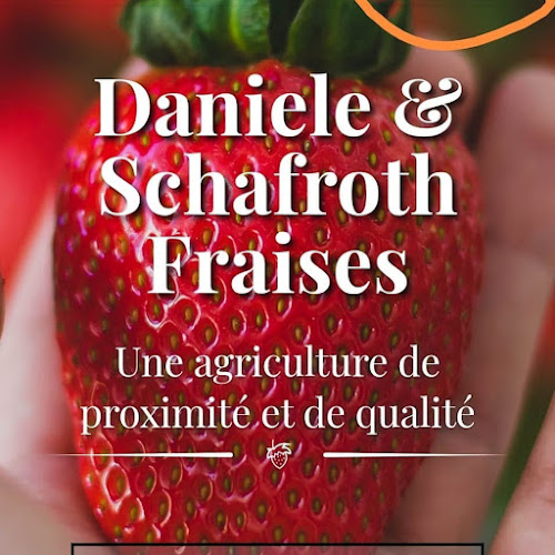 Daniele&Schafroth fraises