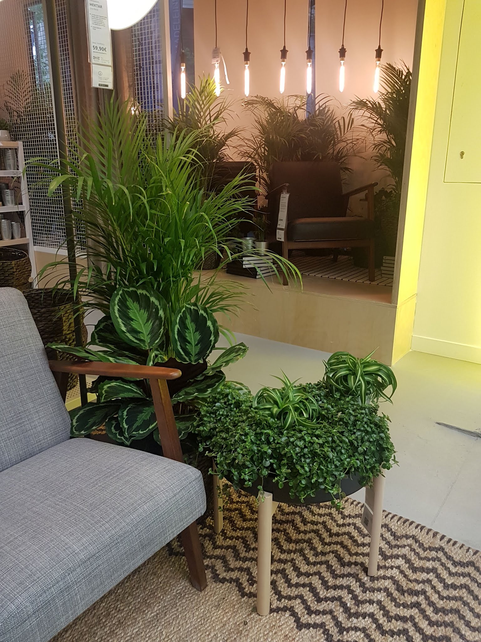 Photo n° 11 de l'avis de Cecile. fait le 17/06/2019 à 09:47
