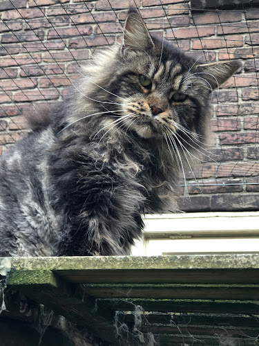 Dierenkliniek Enschede openingstijden