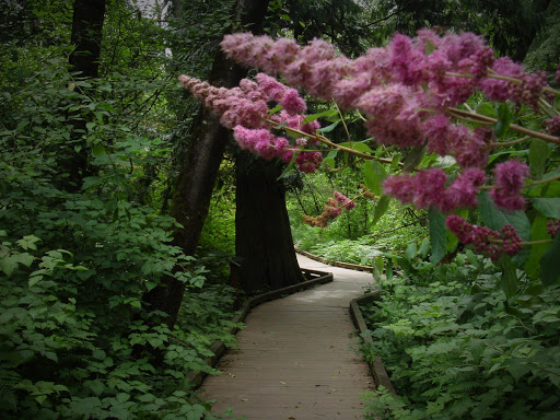 Park «West Hylebos Wetlands Park», reviews and photos, 411 S 348th St, Federal Way, WA 98003, USA