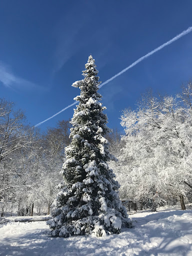 Park «Pilgrim Hill Local Park», reviews and photos, 1615 E Randolph Rd, Silver Spring, MD 20904, USA