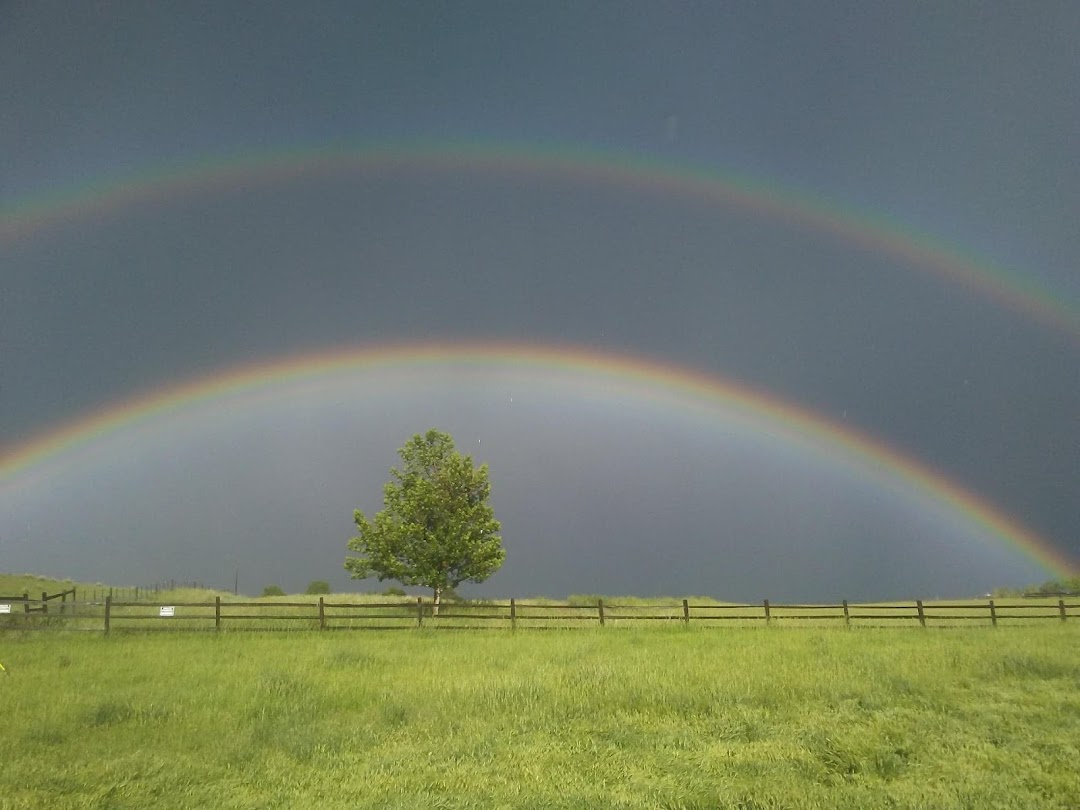 Transmission Doctors