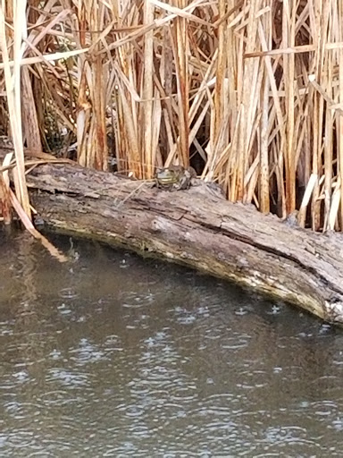 Botanical Garden «Phipps Conservatory and Botanical Gardens», reviews and photos, 1 Schenley Drive, Pittsburgh, PA 15213, USA