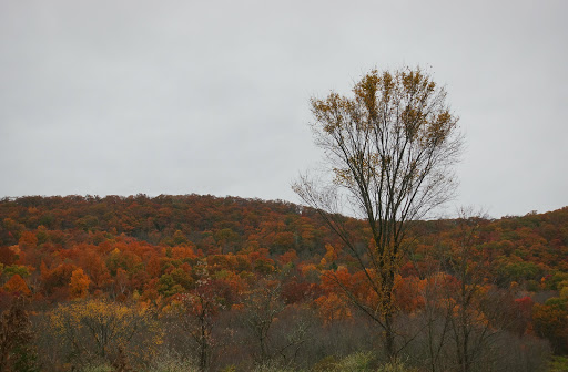 Nature Preserve «Macricostas Preserve», reviews and photos, 121 Christian St, New Preston, CT 06777, USA