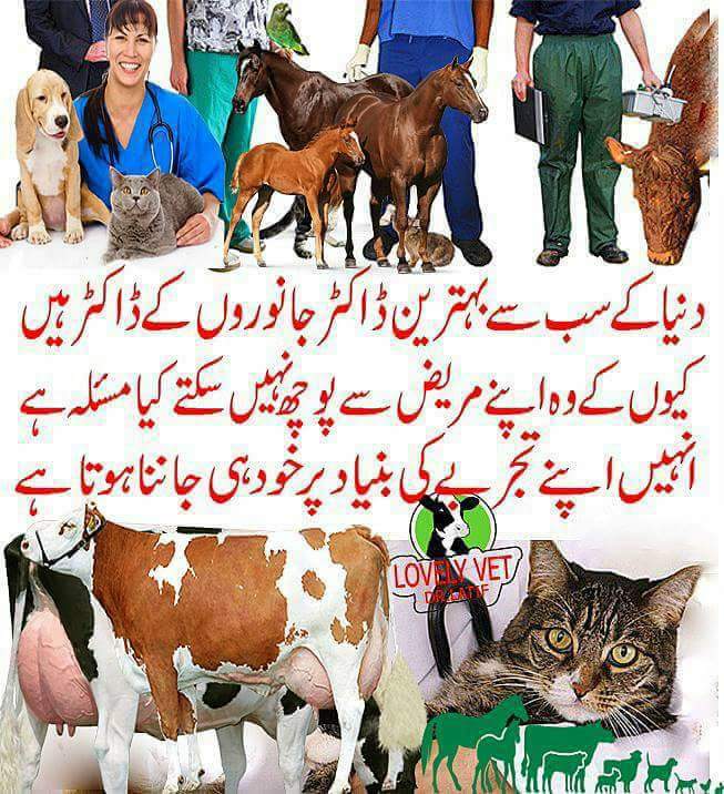 Chaudhry Veterinary Medicose