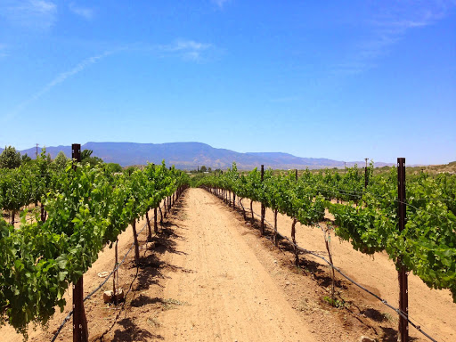 Vineyard «Alcantara Vineyards and Winery», reviews and photos, 3445 South Grapevine Way, Cottonwood, AZ 86326, USA