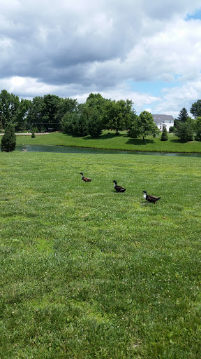 Winery «Villa Marie Winery & Banquet», reviews and photos, 6633 E Main St, Maryville, IL 62062, USA