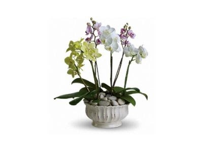 Florist «The House of Flowers», reviews and photos, 821 Berkley Rd, Auburndale, FL 33823, USA