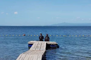 Anilao Diving, Underwater Photography|Dive Anilao/Batangas Philippines image