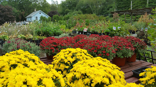 Garden Center «Copia Home and Garden», reviews and photos, 475 Smith Ridge Rd, South Salem, NY 10590, USA