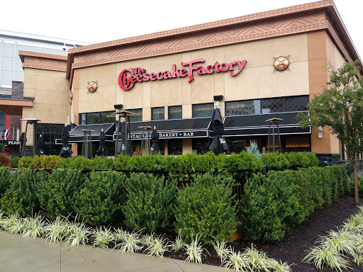 Shopping Mall «Stamford Town Center», reviews and photos, 100 Greyrock Pl, Stamford, CT 06901, USA