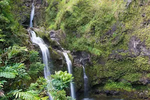 Hike Maui image