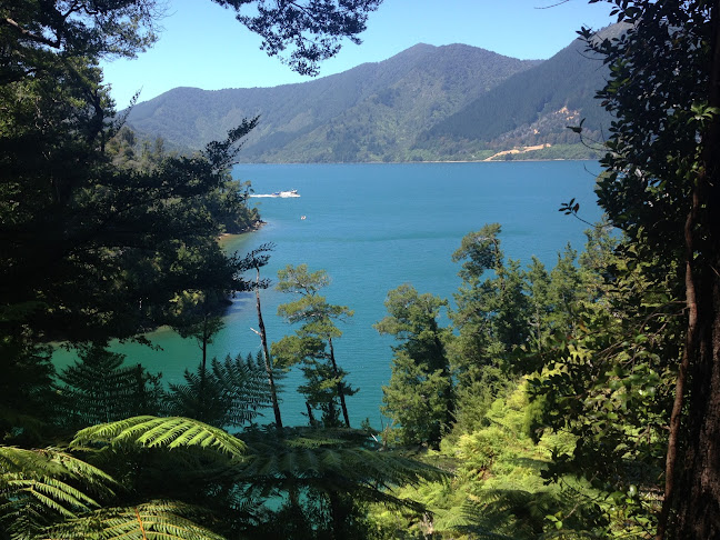 Reviews of Pelorus Sounds Water Taxis and Cruises Havelock in Blenheim - Travel Agency