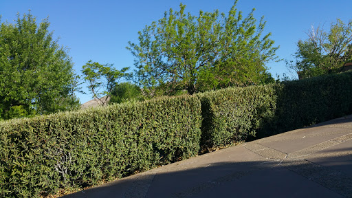 National Park «Chamizal National Memorial», reviews and photos, 800 S San Marcial St, El Paso, TX 79905, USA