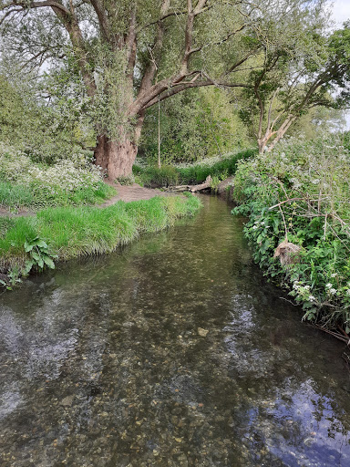 Hogsmill River