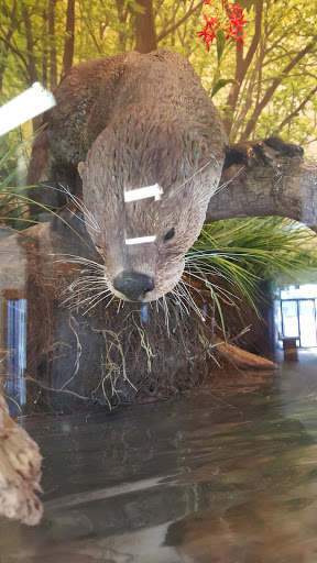 Nature Preserve «Carpenter Nature Center», reviews and photos, 12805 St Croix Trail S, Hastings, MN 55033, USA