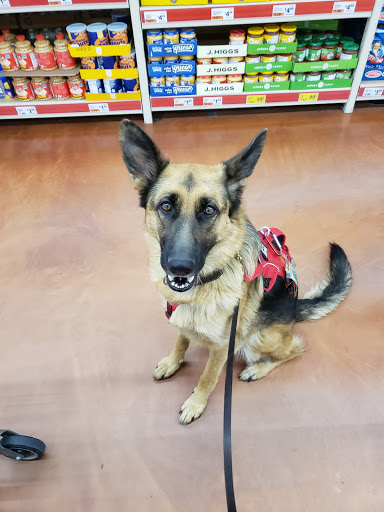 Grocery Store «Save-A-Lot», reviews and photos, 5933 US-11, Canton, NY 13617, USA