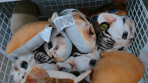 Variety Store «Five Below», reviews and photos, 1554 Butterfield Rd, Downers Grove, IL 60515, USA