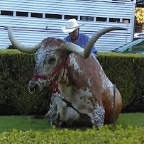 J&G's Citywide Express - Photo 7 - Car repair in , Austin