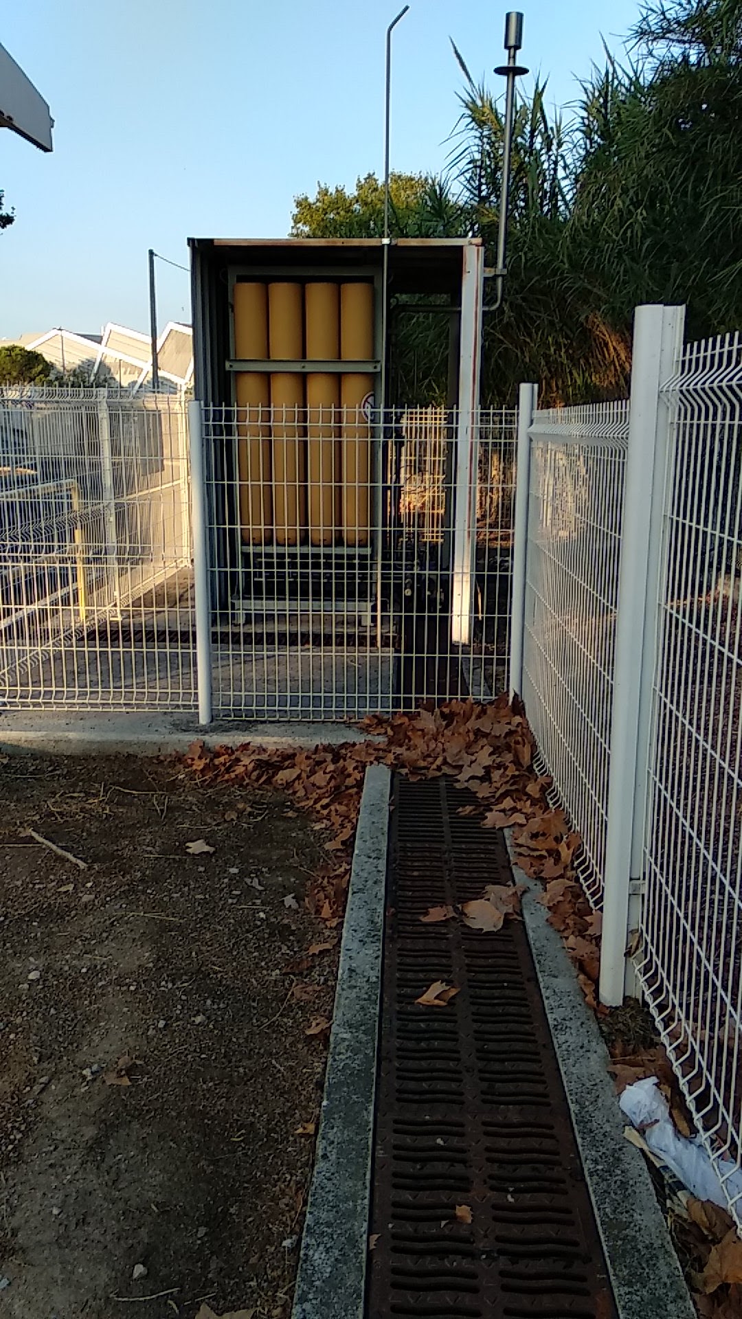 Photo n° 21 de l'avis de Ruchi. fait le 14/08/2022 à 18:01