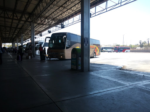 TAP Transportes Y Autobuses Del Pacifico