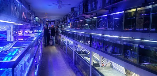 Tropical Fish Store «Best Fish», reviews and photos, 1335 N Doctor M.L.K. Dr, Milwaukee, WI 53212, USA