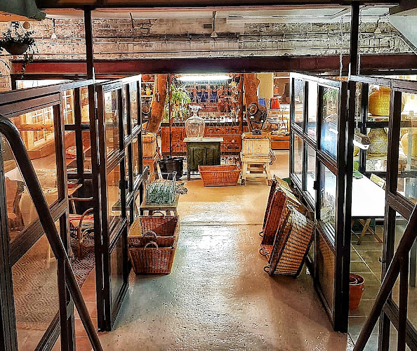 Salmagundi THE SHOP - Meubelwinkel