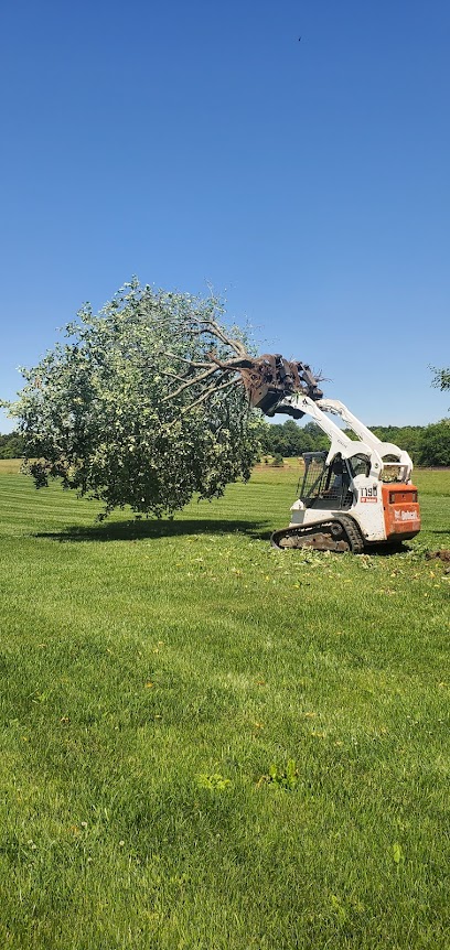 Just-In Time Tree Service