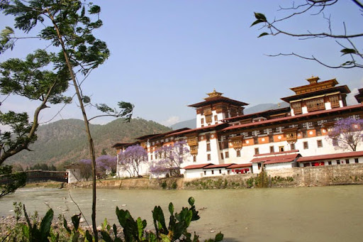 Tour Agency «Himalayan Dreams», reviews and photos, 6185 Rainier Ave, Rocklin, CA 95677, USA