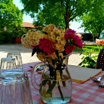 Photo n°8 de l'avis de Valeria.i fait le 06/05/2018 à 14:14 sur le  Agriturismo La Pajerina à Montecchio Maggiore