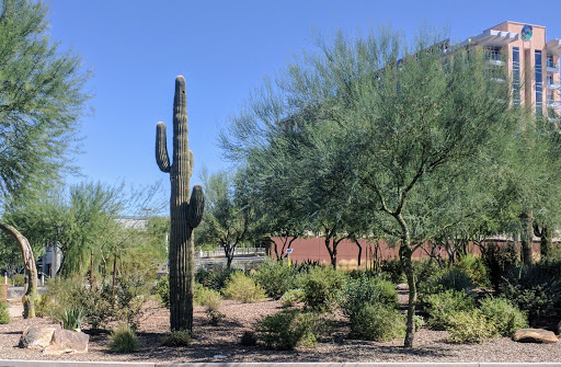 Resort «Talking Stick Resort», reviews and photos, 9800 Talking Stick Way, Scottsdale, AZ 85256, USA