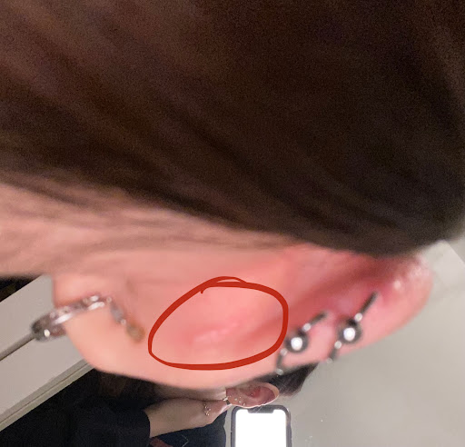 Explore tattoo ideas of dogs, creative tattoo ideas in Green Bay, available at Colourbox Body Piercing Llc