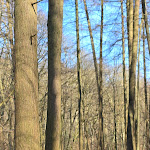 Photo n°3 de l'avis de Anke. fait le 03/03/2024 à 16:20 sur le  Freischütz Schwerte à Schwerte