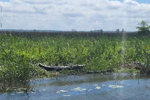 Airboat Adventures image