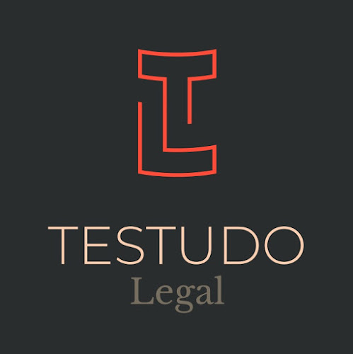 Testudo Legal - Advocaat