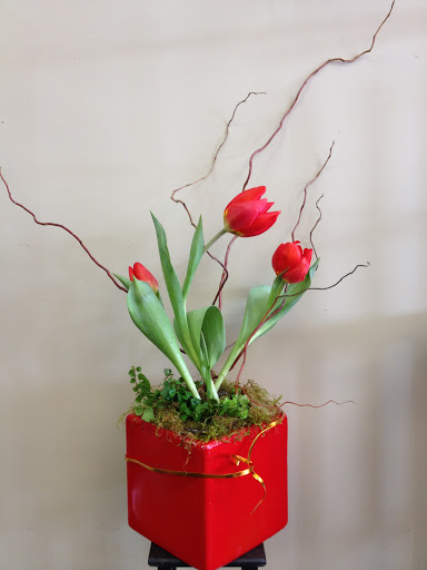 Florist «Stargazer Premier Florist», reviews and photos, 925 NW Circle Blvd, Corvallis, OR 97330, USA