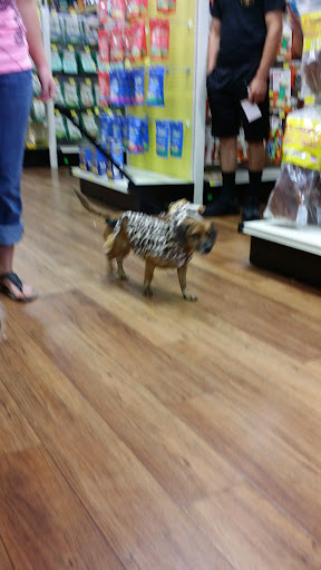 Pet Supply Store «Pet Supermarket», reviews and photos, 2924 13th St, St Cloud, FL 34769, USA