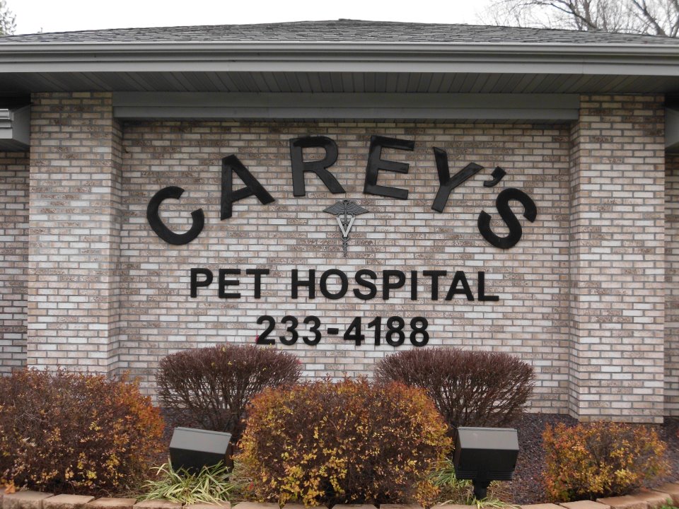 Carey's Pet Hospital