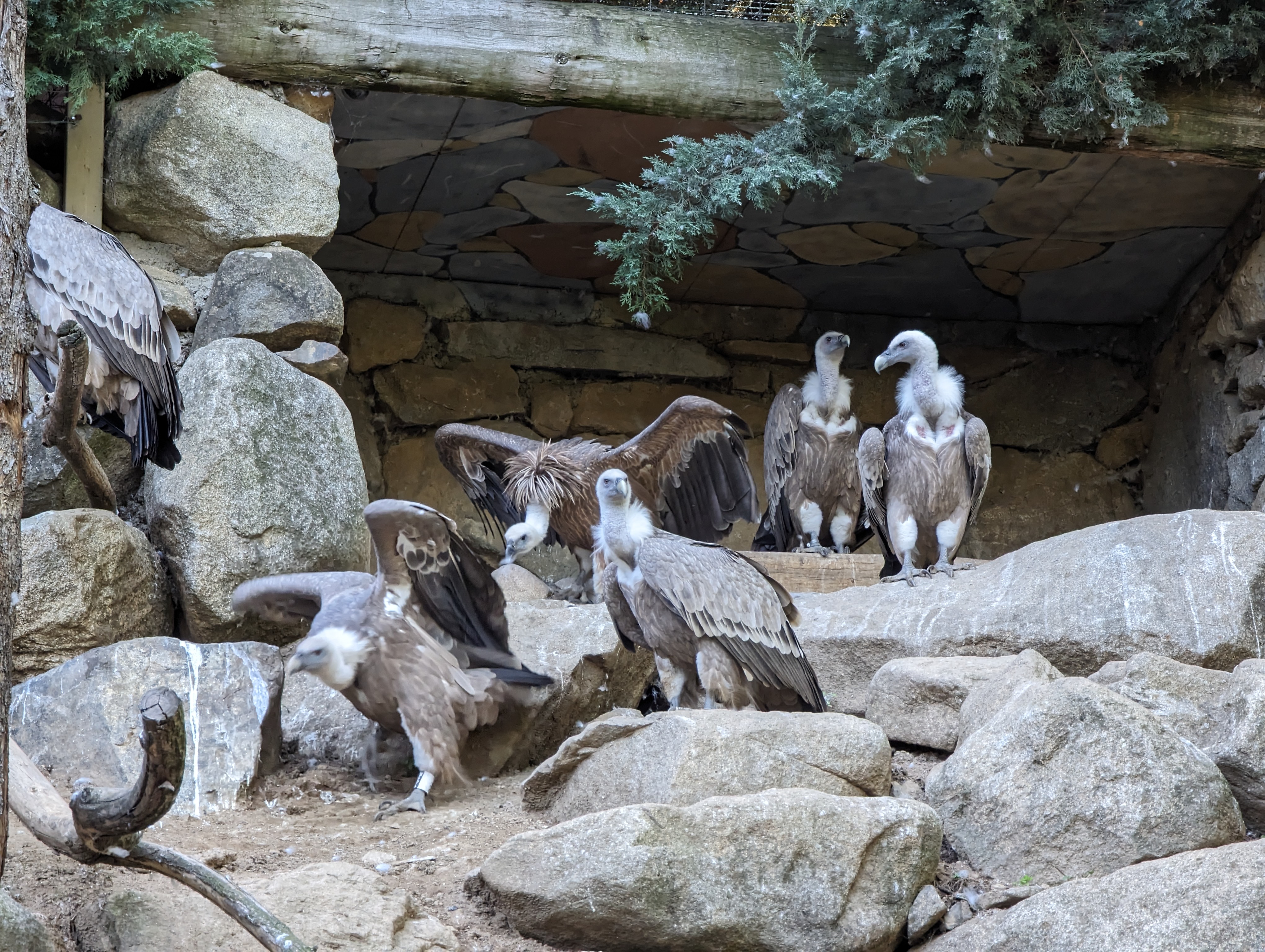 Photo n° 23 de l'avis de Thibaud.l fait le 10/10/2023 à 07:10