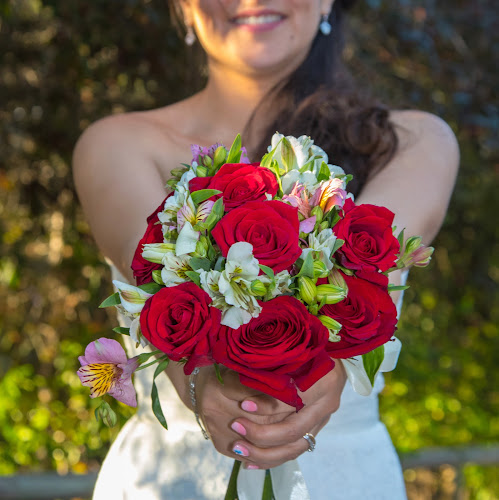 Fotógrafo Juan Monsalve, Bodas, Productos, Empresas - Puente Alto